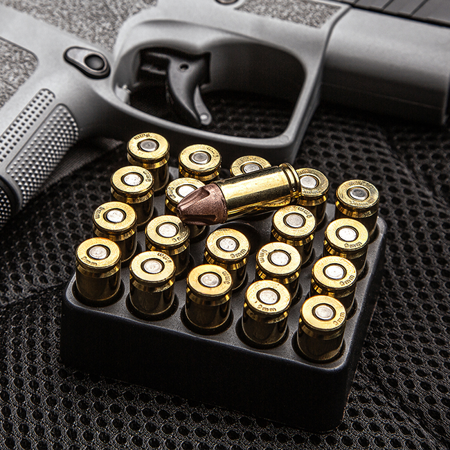 Handgun and ammunition display case